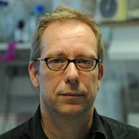 Porträt von Andreas Diefenbach
