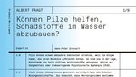 Screenshot des Beitrags im gedruckten Albert