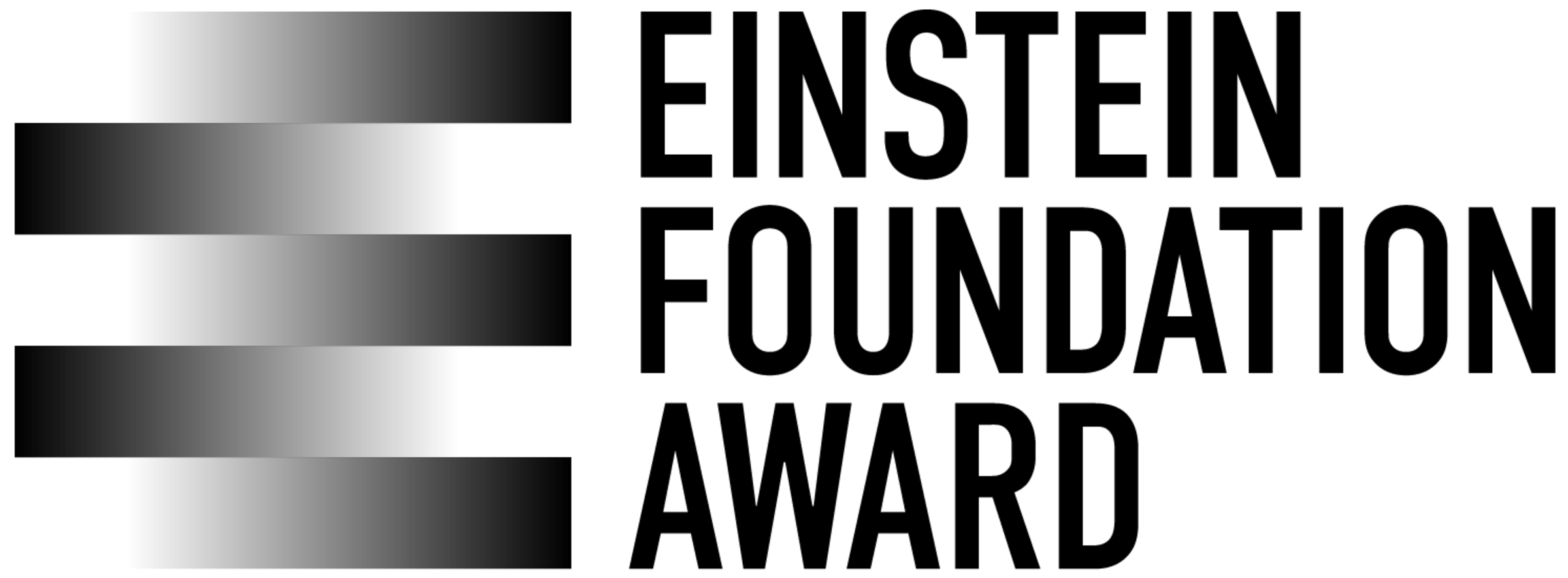 Logo Einstein Foundation Award