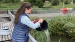 Maria Warter schüttet Wasser aus einem Eimer in einen See